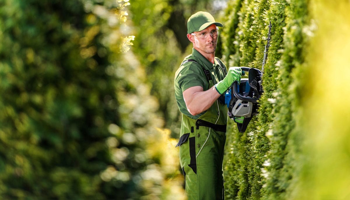 Gartenpflege Gartenarbeiten Gruenpflege Hannover 1